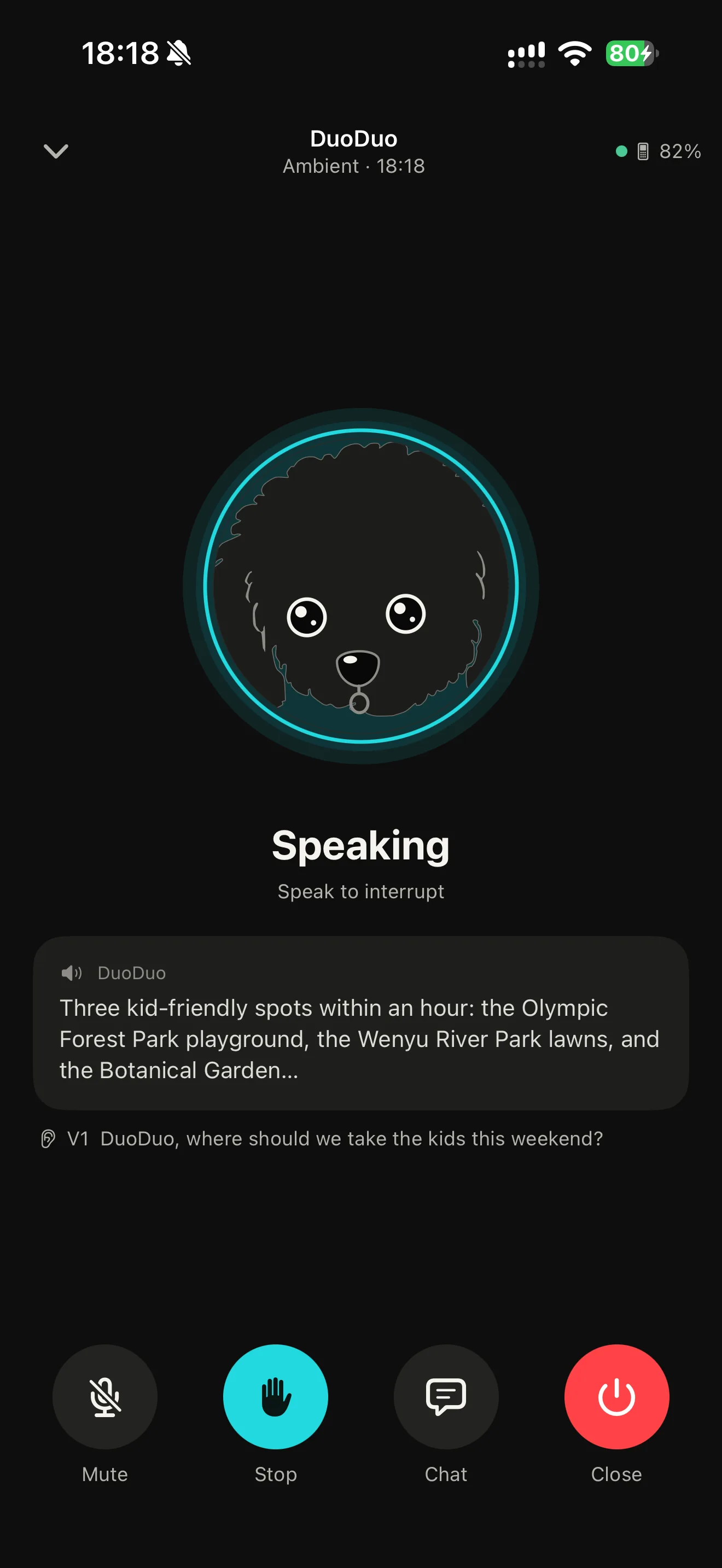 The DuoDuo iPhone app in ambient mode, speaking an answer to a question asked in the room